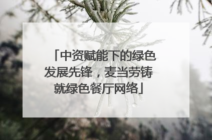 中资赋能下的绿色发展先锋，麦当劳铸就绿色餐厅网络